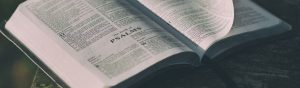 Precept